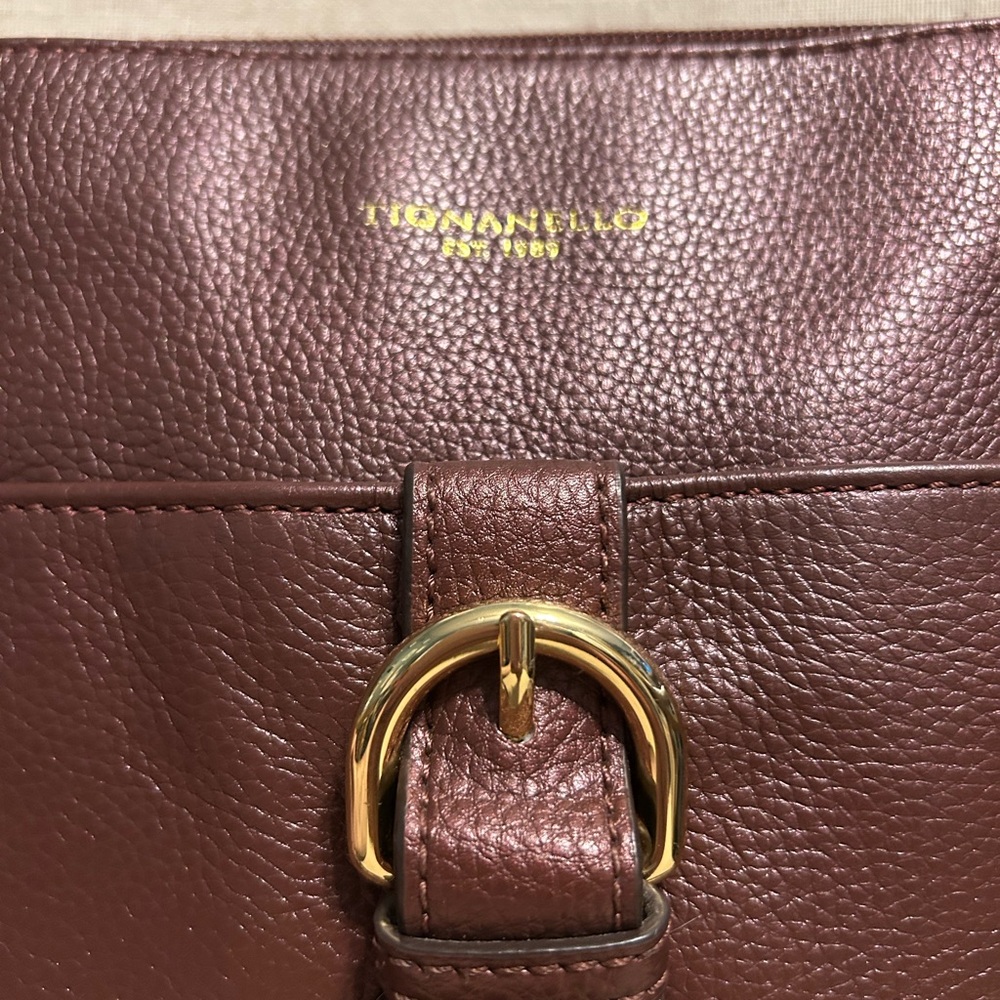 Tignanello Leather Crossbody Bag in Metallic Maroon - Picture 2 of 10